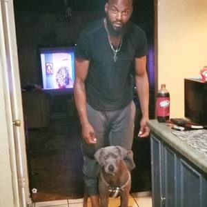 Meet your Posher, Roy